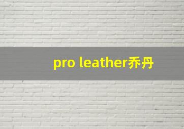 pro leather乔丹